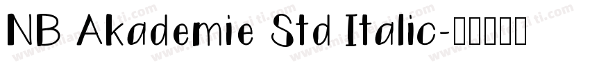 NB Akademie Std Italic字体转换